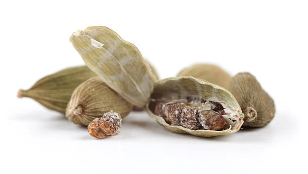 Common Green Cardamom